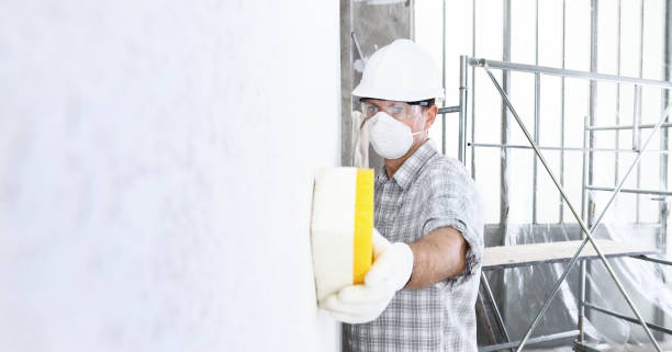 Best Commercial Mold Inspection  in Reliez Valley, CA