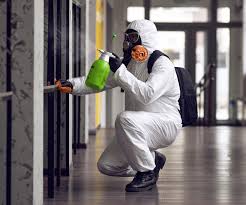 Why You Should Choose Our Mold Remediation Services in Reliez Valley, CA